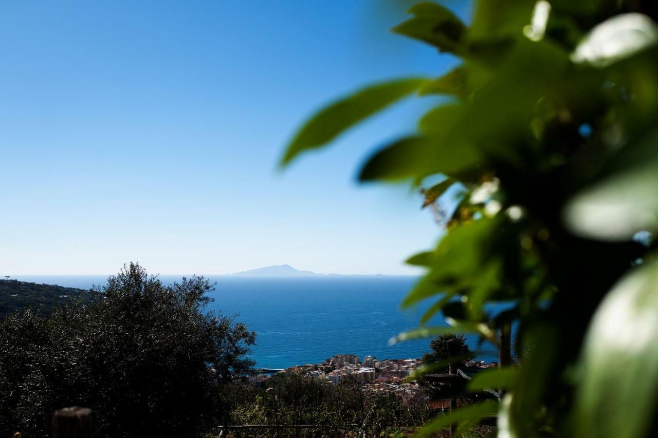 Appartement Casa Floriana à Vico Equense Extérieur photo